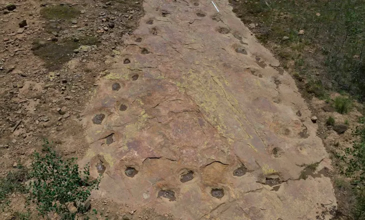Zbulimi i rrallë në Kolorado: Gjurmët 150 milionë vjeçare tregojnë se dinosauri gjigant mund të ketë ecur duke çaluar