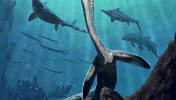 Zbulohet një zvarranik prehistorik me organe të brendshme të fosilizuara