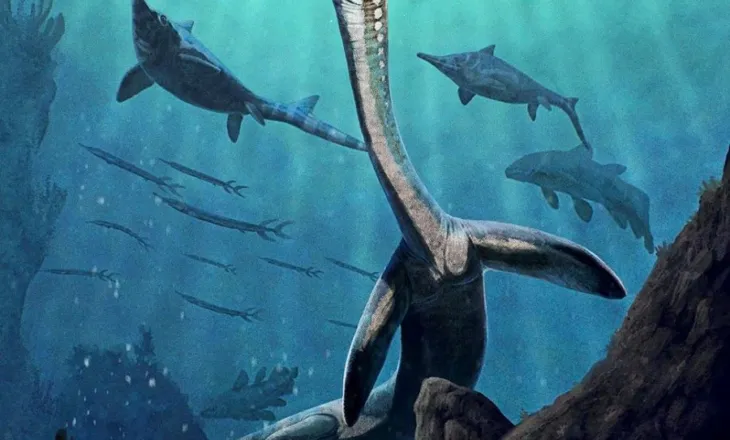 Zbulohet një zvarranik prehistorik me organe të brendshme të fosilizuara