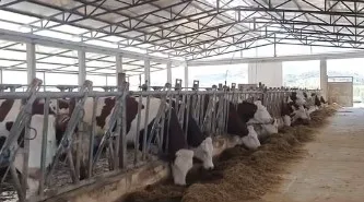 Zgjerohet baza e përfituesve nga Skema Kombëtare, rriten ndjeshëm aplikimet e fermerëve