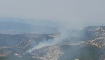 Zjarr afër puseve të natës dhe nënstacionit elektrik në Drenovë të Mallakastrës, neutralizohen flakët