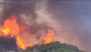 Zjarr i madh në Daias të Tiranës, helikopter nga ajri dhe forca nga terreni për shuarjen e flakëve!