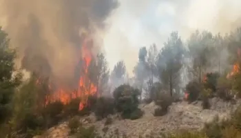 Zjarr i madh në Fushë-Bulqizë, era favorizon flakët, forcat operacionale nuk depërtojnë dot për shkak të terrenit
