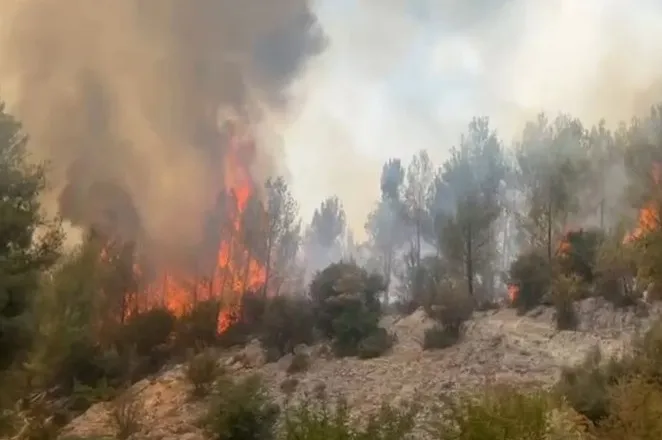 Zjarr i madh në Fushë-Bulqizë, era favorizon flakët, forcat operacionale nuk depërtojnë dot për shkak të terrenit