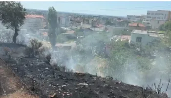 Zjarr i madh në Lezhë, rrezikohen banesat! Temperaturat e larta dhe era e fortë favorizojnë flakët