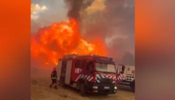 Zjarr i madh në Lundër të Tiranës, era e favorizon vatrën! Dy helikopterë aksion nga ajri për të shuar flakët