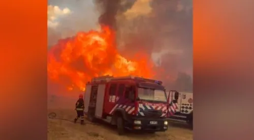 Zjarr i madh në Lundër të Tiranës, era e favorizon vatrën! Dy helikopterë aksion nga ajri për të shuar flakët