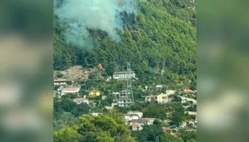 Zjarr i madh në masivin pyjor të Milotit, era favorizon vatrën, flakët po i afrohen dhe zonës së banuar!