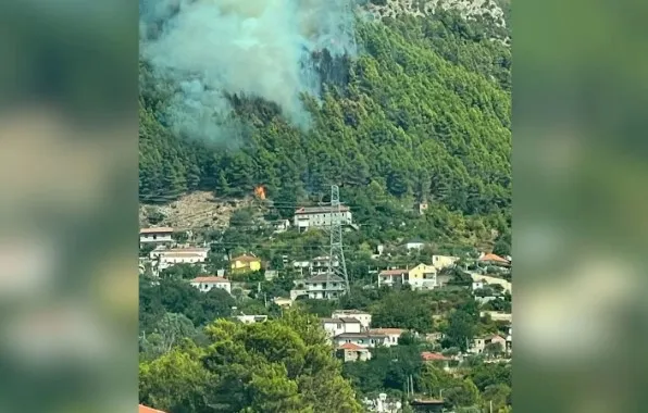 Zjarr i madh në masivin pyjor të Milotit, era favorizon vatrën, flakët po i afrohen dhe zonës së banuar!