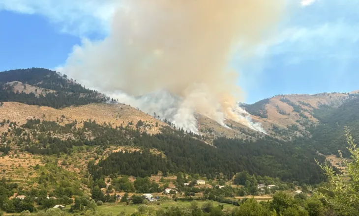 Zjarr i madh në Parkun Kombëtar Lurë-Mali i Dejës/ Flakët përhapen me shpejtësi, shkak era e fortë