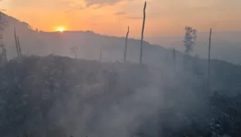 Zjarr i madh në pyjet e Polisit në Librazhd, banorët japin alarmin dhe kërkojnë ndërhyrje! Dyshohet se u vu qëllimisht