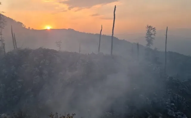 Zjarr i madh në pyjet e Polisit në Librazhd, banorët japin alarmin dhe kërkojnë ndërhyrje! Dyshohet se u vu qëllimisht