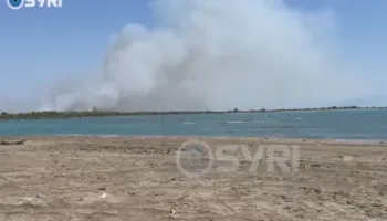 Zjarr i madh në pyllin me pisha në Pishporo, flakët rrezikojnë masivin pyjor