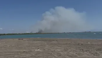 Zjarr i madh në pyllin me pisha në zonën e Pishporos, flakët përhapen në sipërfaqen e pyllëzua