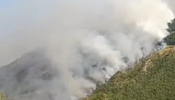 Zjarr i madh në Shkopet të Matit, flakët rrethojnë fermën, rrezikohen 250 krerë bagëti
