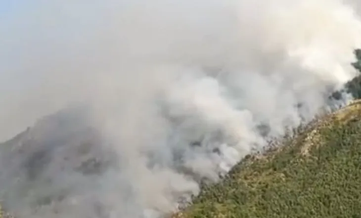 Zjarr i madh në Shkopet të Matit, flakët rrethojnë fermën, rrezikohen 250 krerë bagëti