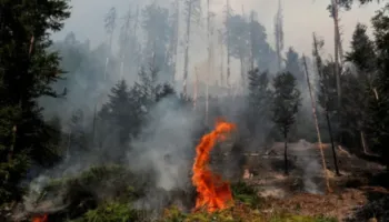 Zjarr i madh përfshin një park kombëtar në Sllovaki