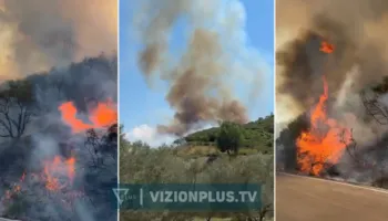 Zjarr i përmasave të mëdha në Hekal, 10 hektarë nën “pushtetin” e flakëve