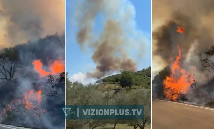 Zjarr i përmasave të mëdha në Hekal, 10 hektarë nën “pushtetin” e flakëve