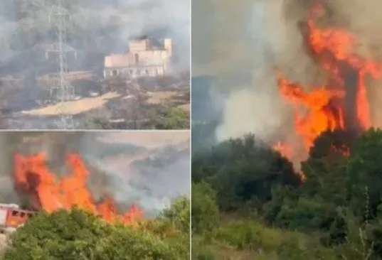 Zjarr i përmasave të mëdha në Klos, flakët përhapen në zonën pyjore, rrezikohen edhe linjat e tensionit të lartë