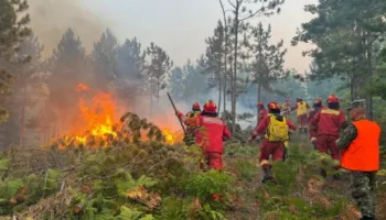 Zjarr i përmasave të mëdha në Vlorë, flakët përhapen me shpejtësi nga era e fortë