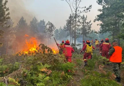 Zjarr i përmasave të mëdha në Vlorë, flakët përhapen me shpejtësi nga era e fortë