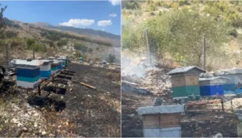 Zjarr mbi repartin ushtarak pranë Gjirokastrës, flakët rrezikojnë parkun e mbushur me koshere bletësh