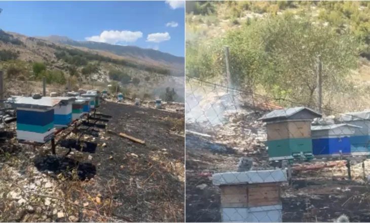 Zjarr mbi repartin ushtarak pranë Gjirokastrës, flakët rrezikojnë parkun e mbushur me koshere bletësh