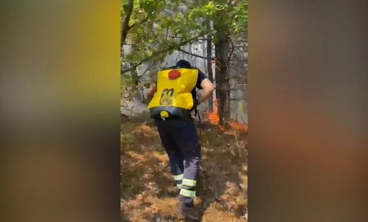 Zjarr në fshatin Lugaxhi të Elbasanit, i afrohet zonave të banuara