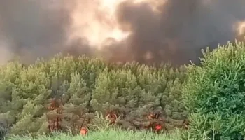 Zjarr në fshatin Penkovë në Selenicë, flakët përhapen me shpejtësi/ Kërkohet ndihma e zjarrfikësve nga Vlora dhe Himara