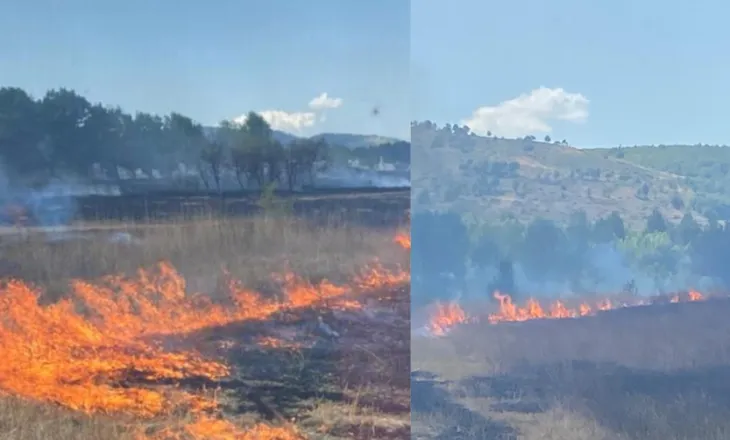 Zjarr në Kagjinas të Ersekës, era favorizon flakët dhe situata del jashtë kontrollit