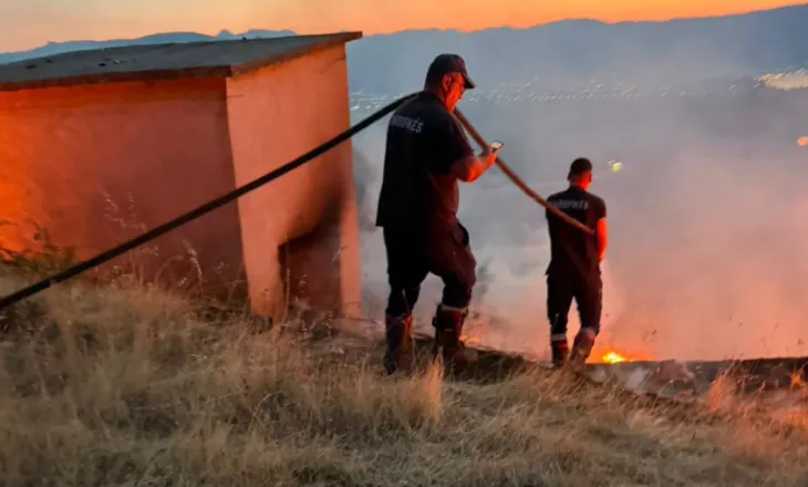 Zjarr në kodrat e Tushemishtit