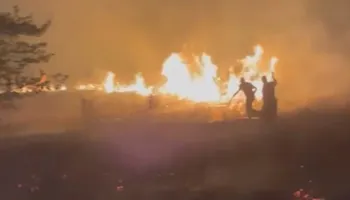Zjarr në Lazarat, vihet nën kontroll nga tre grupe zjarrfikëse