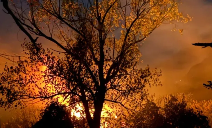 Zjarr në Malësinë e Madhe, digjen 2 banesa të pabanura