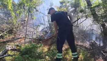 Zjarr në malin e Vinës në Gramsh, ekipet zjarrfikëse mbërritën pas 2 orësh në vendngjarje për shkak të terrenit…