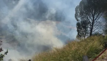 Zjarr në Mallakastër, flakët përhapen me shpejtësi pranë rrugës kryesore