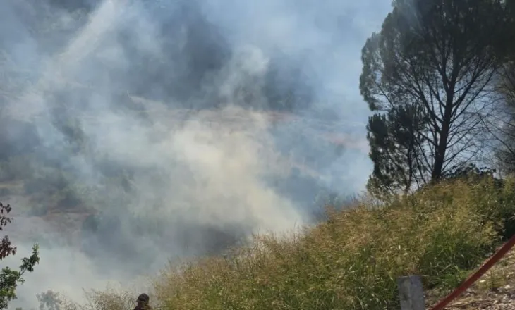 Zjarr në Mallakastër, flakët përhapen me shpejtësi pranë rrugës kryesore