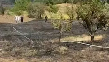 Zjarr në Nartë të Gramshit, ndërhyrja e shpejtë izolon vatrën dhe përhapjen e flakëve! (FOTO)