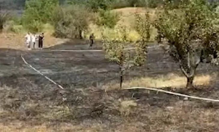 Zjarr në Nartë të Gramshit, ndërhyrja e shpejtë izolon vatrën dhe përhapjen e flakëve! (FOTO)