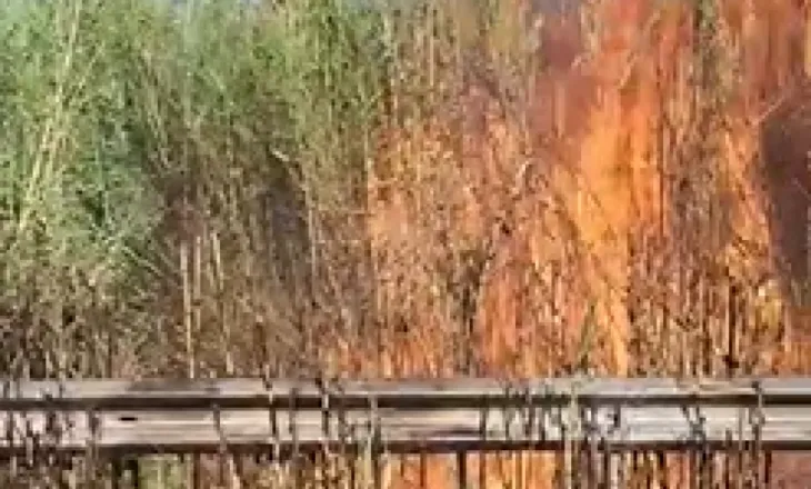 Zjarr në Novoselë, flakët favorizohen nga temperaturat e larta dhe era e fortë