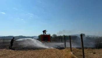 Zjarr në periferi të qytetit të Cërrikut, flakët dogjën një parcelë me ullinj dhe rrezikuan një banesë