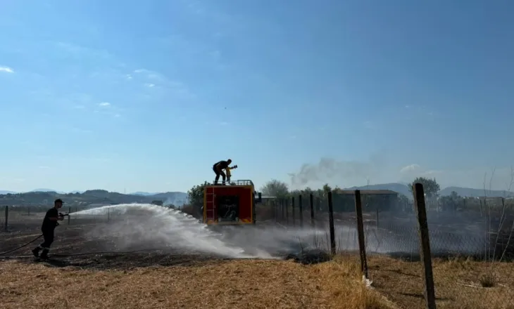 Zjarr në periferi të qytetit të Cërrikut, flakët dogjën një parcelë me ullinj dhe rrezikuan një banesë