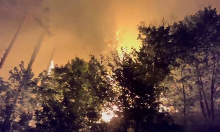 Zjarr në Pocest të Dibrës, shmanget rreziku ndaj banesave