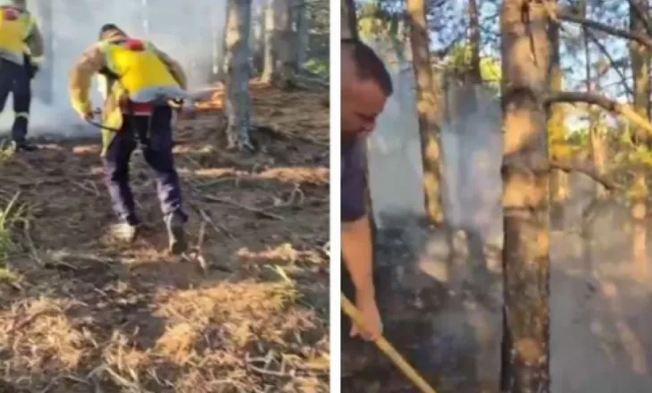 Zjarr në Pukë, rrezikohet kurora e gjelbër e qytetit