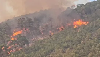 Zjarr në pyjet e Klosit, flakët i drejtohen fshatit