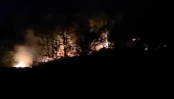 Zjarr në pyllin e Sinicës në Korçë