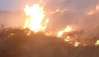 Zjarr në varrezat e Libonikut/ Flakët përfshijnë zonën, zjarrfikësit në aksion për shuarjen e zjarrit (VIDEO)