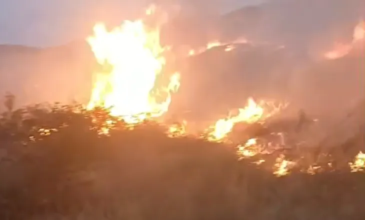 Zjarr në varrezat e Libonikut/ Flakët përfshijnë zonën, zjarrfikësit në aksion për shuarjen e zjarrit (VIDEO)