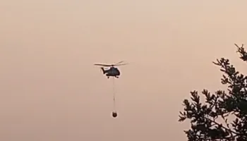 Zjarr në Zhejë të Kurbinit, flakët përparojnë në zonat me ullishte