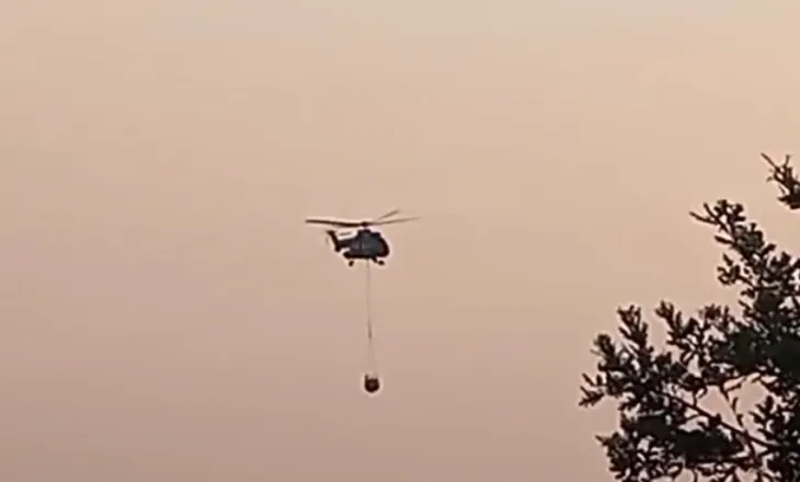 Zjarr në Zhejë të Kurbinit, flakët përparojnë në zonat me ullishte